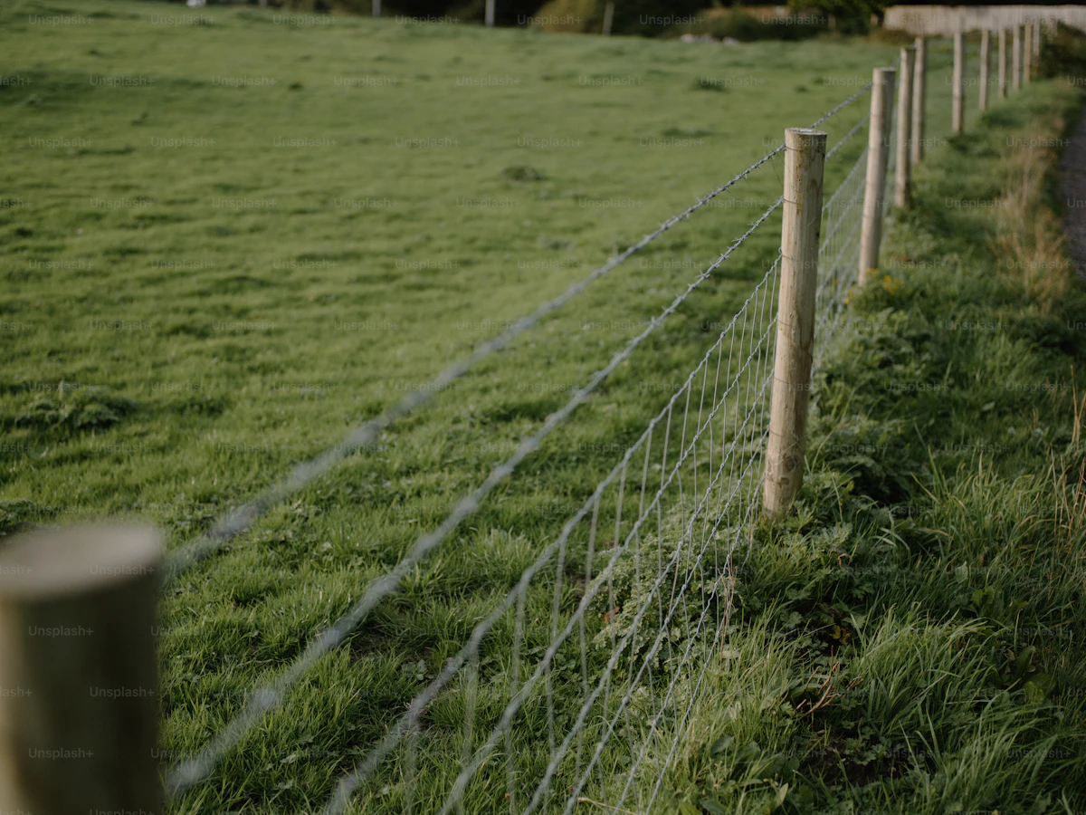 Zaun als Grenze in einer Landschaft — Symbolbild für das Wettbewerbsverbot